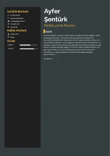 Pastacı Cv Örnekleri cv indir